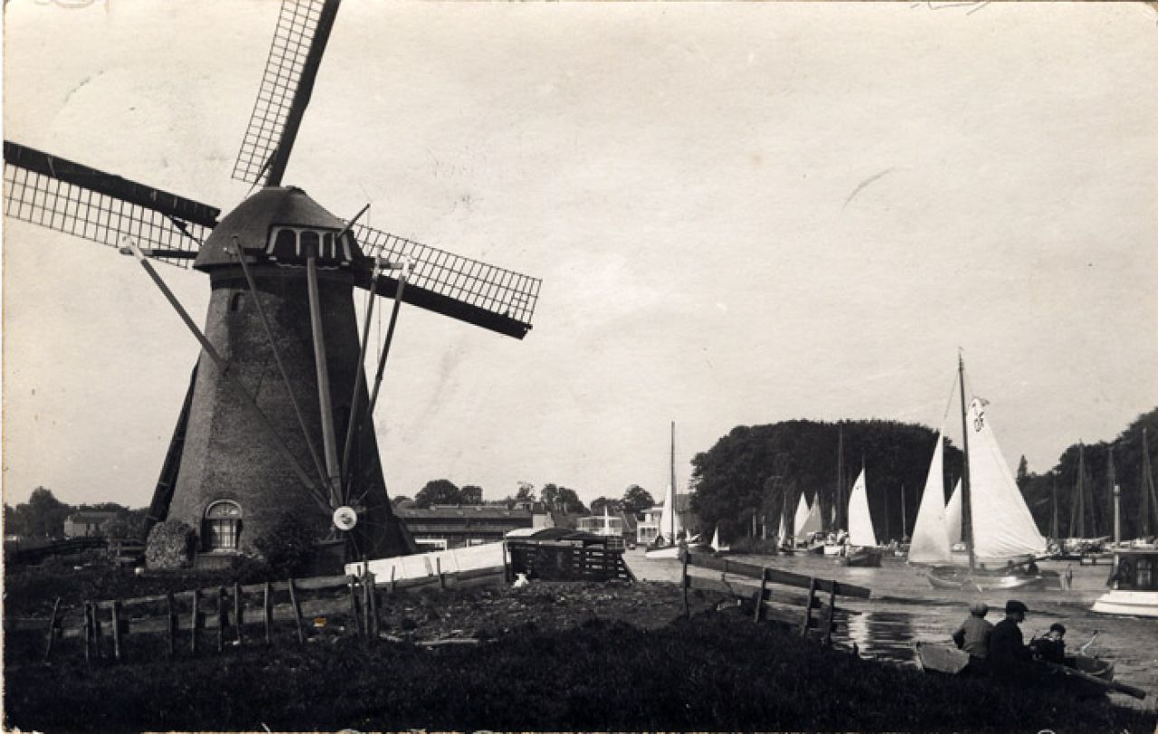 Tjotter Sperwer in de Leede tussen Warmond en de Kagerplassen