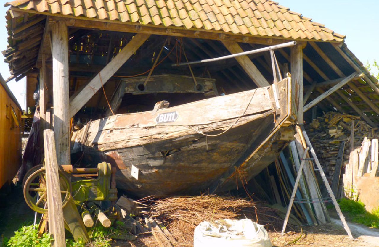 Het verhaal van de Hengst 'Elft' (foto 2016) eindigt in Delfzijl?