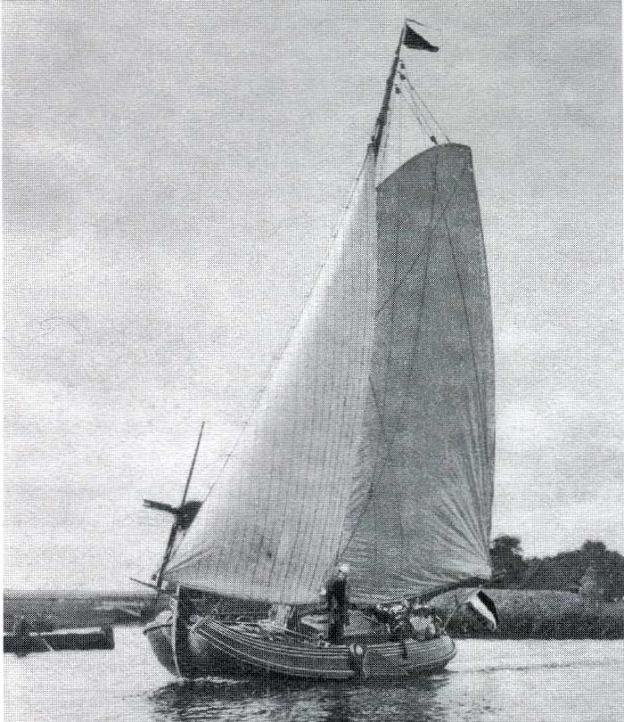 Boeier "Mimi" van P.C. Andreae (Coll FSM)
