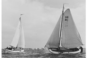 Boeier 'Kleine Beer' RC44 - plaquette 98