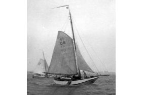 Hoogaars 'Aladdin' HB41 / OB41 - 372