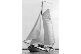 Lemsteraak 'Vrouwe Antoinette Elisabeth' VA42 / OA42 - Stamboeknummer 9268