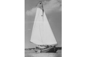 Boeier '51' 'Geertruida' - plaquette 58