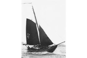 Hoogaars 'Kraagbeer' VC77 - plaquette 307