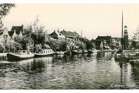 Lemmer - Dok met linksachter de Snik 'Rintjes Snikke' (Stamboeknummer 2203)