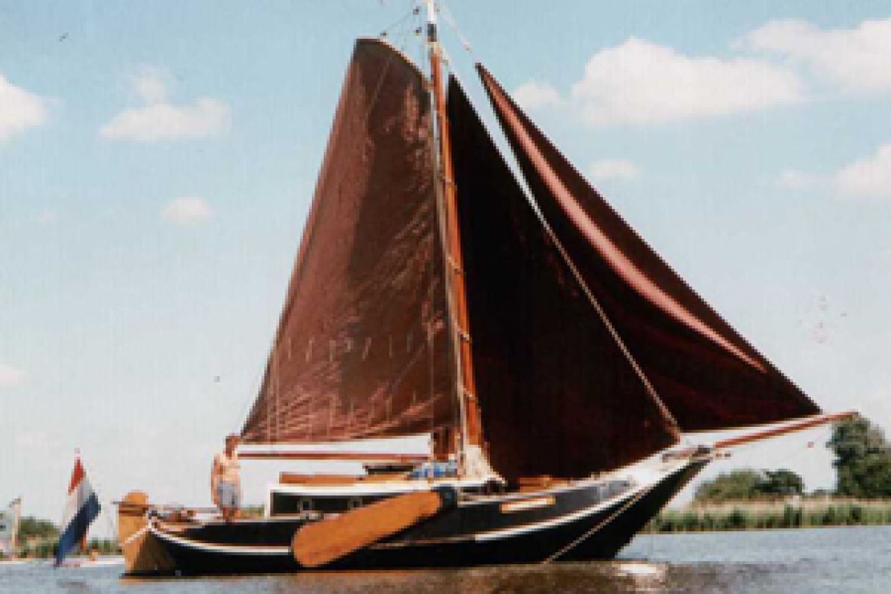 Vispaard