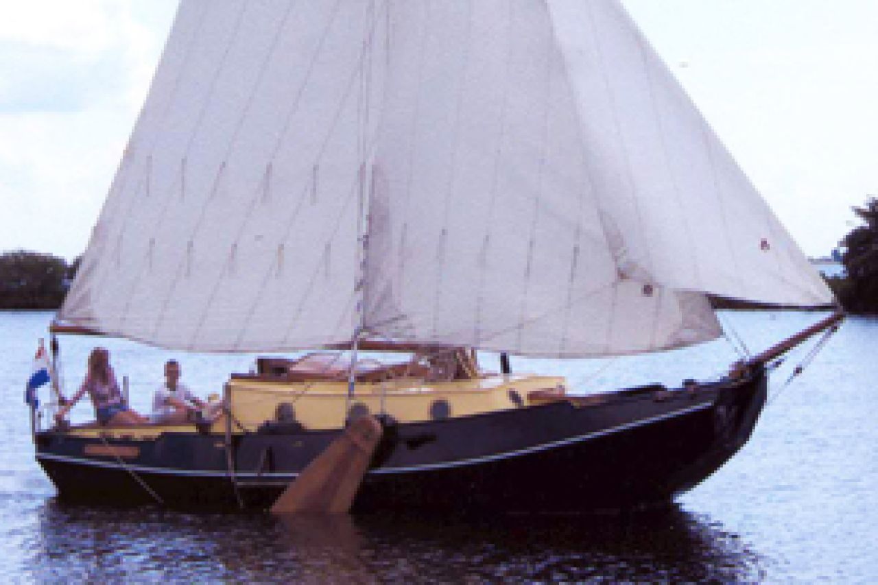 Scharrelaer II