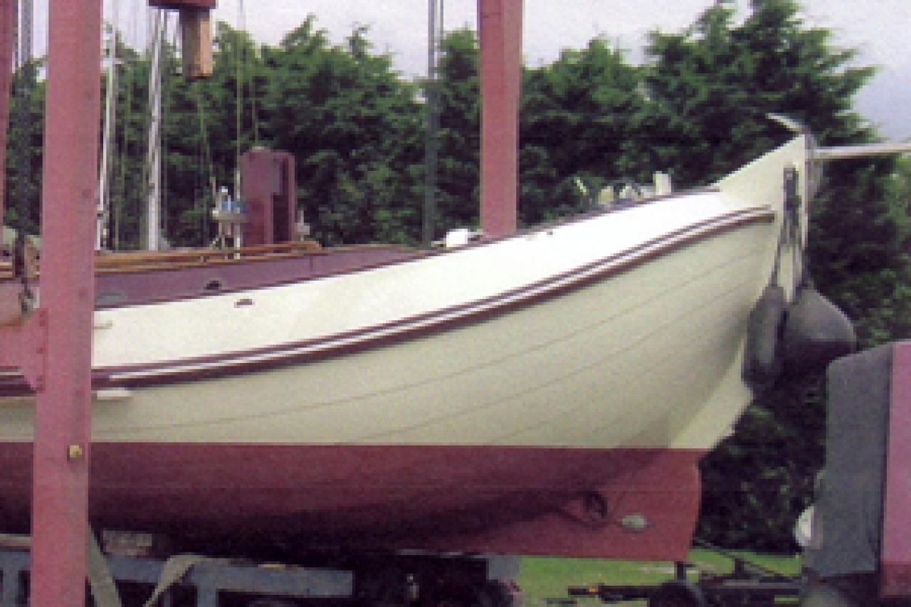 Witte Raaf