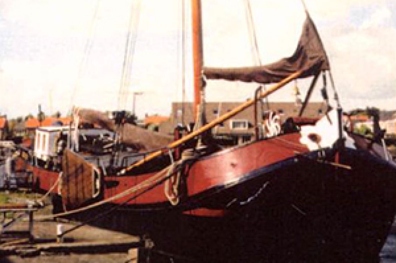 Schavuit