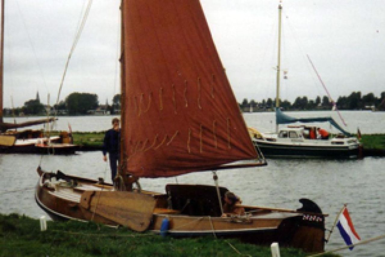 Hout Moed