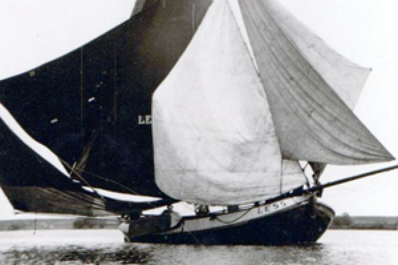 LE55