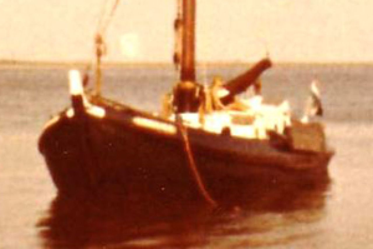 Wibout