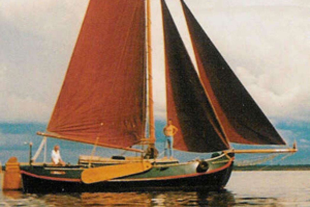 Dorade