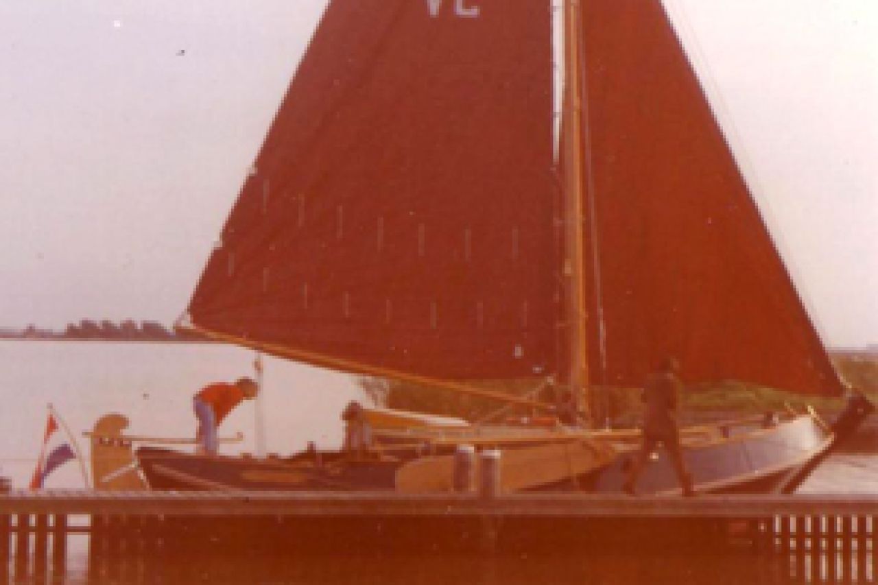 Schollevaer