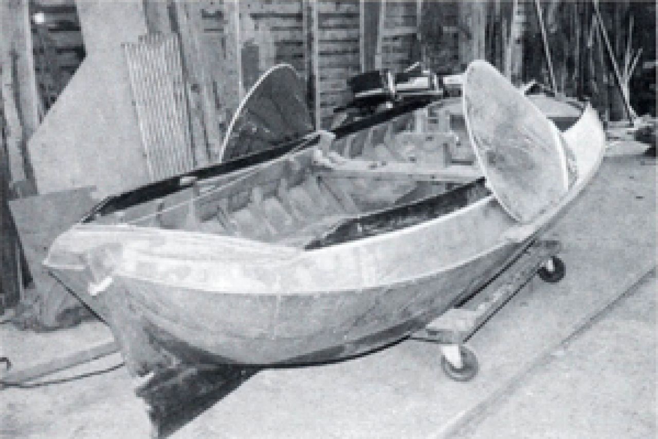 Hoannemosk