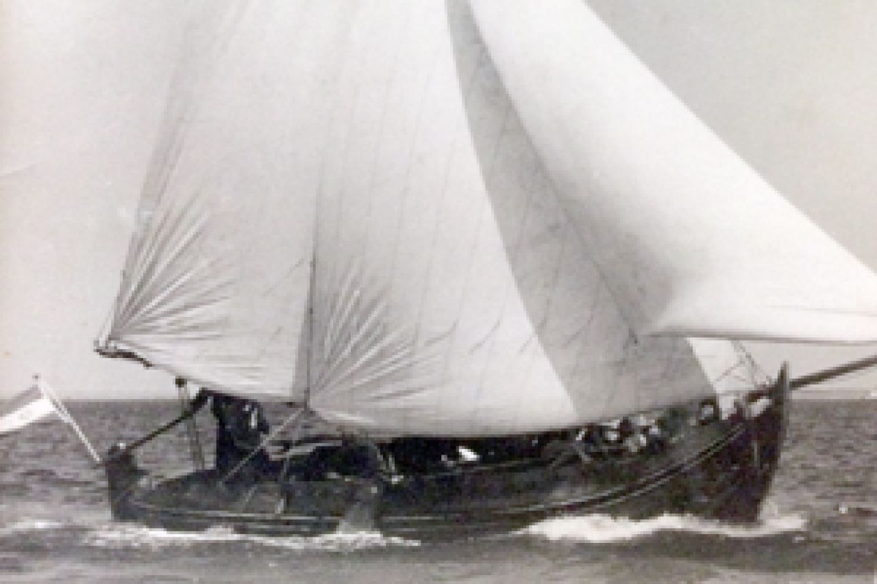 HZ3 'Wouter'   