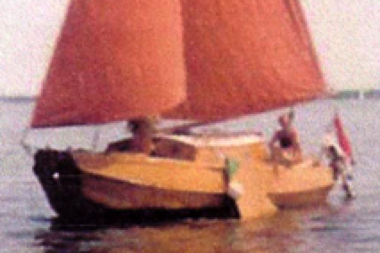 Roerdomp