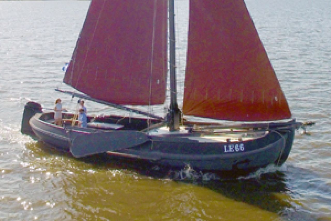 LE66 De Pekel