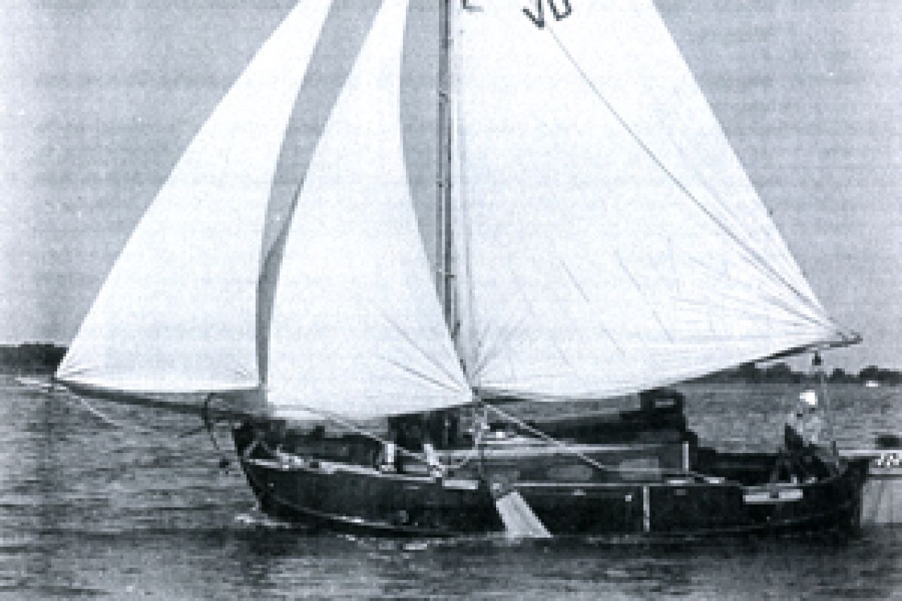 't Zwarte Schaap