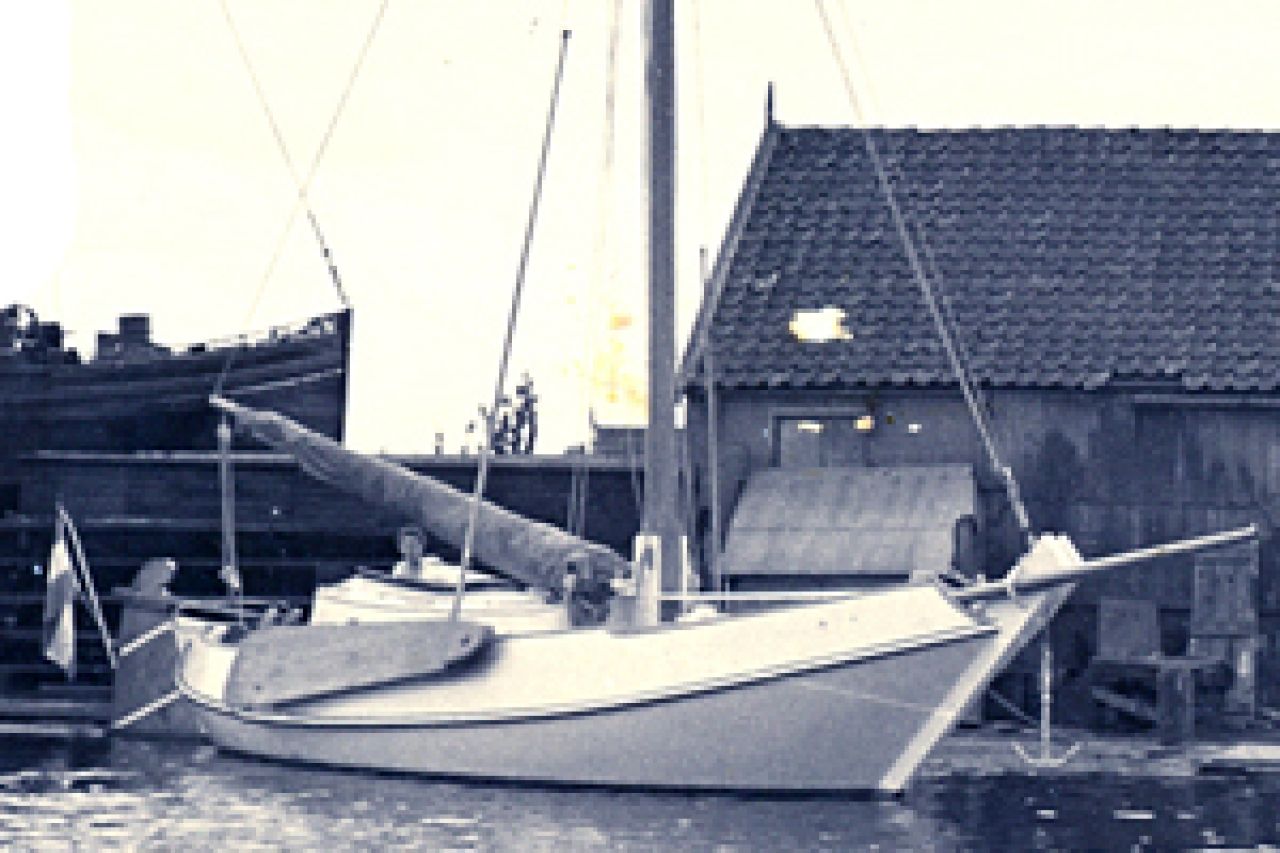 Albatros