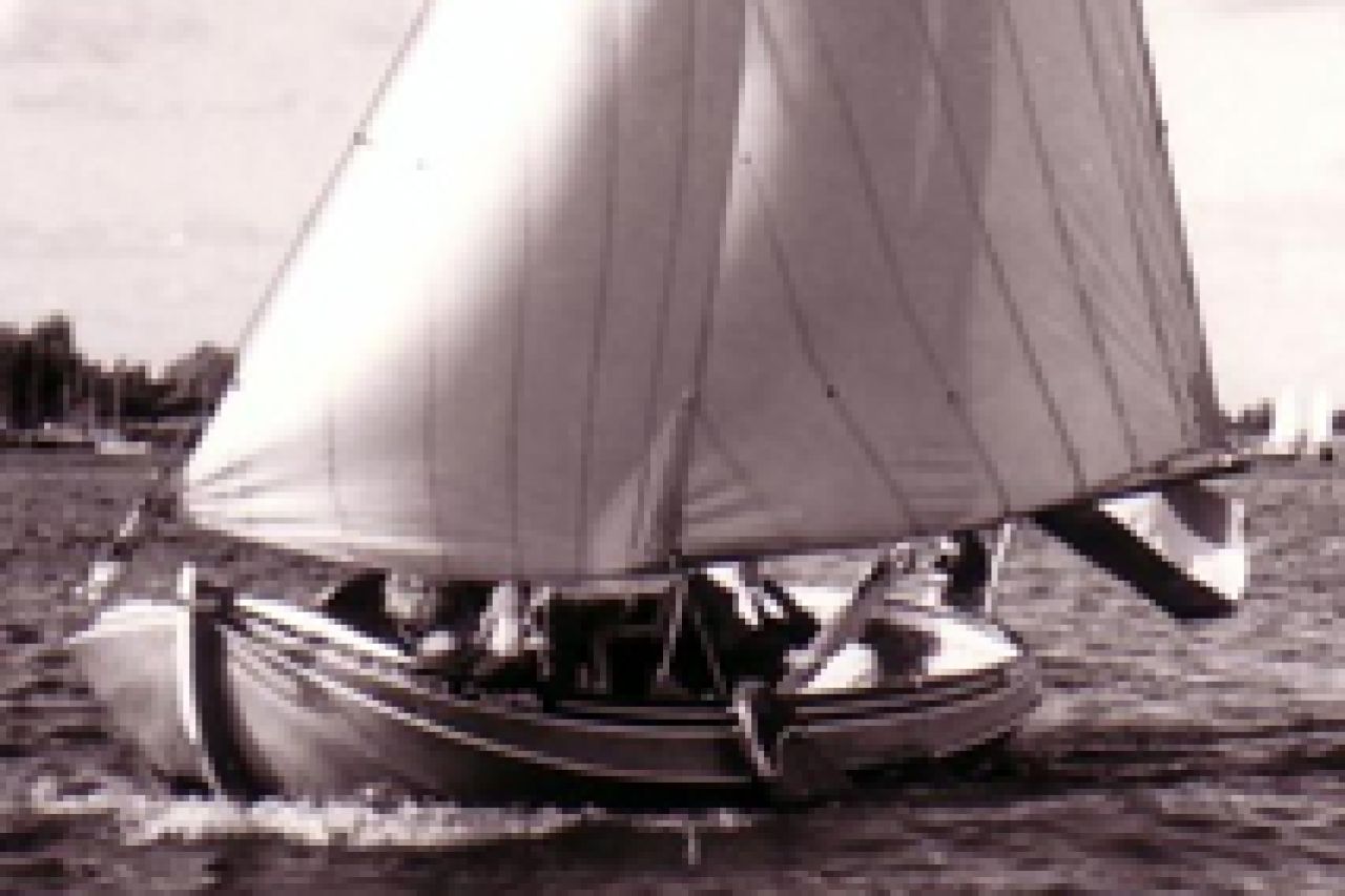 Aurelia