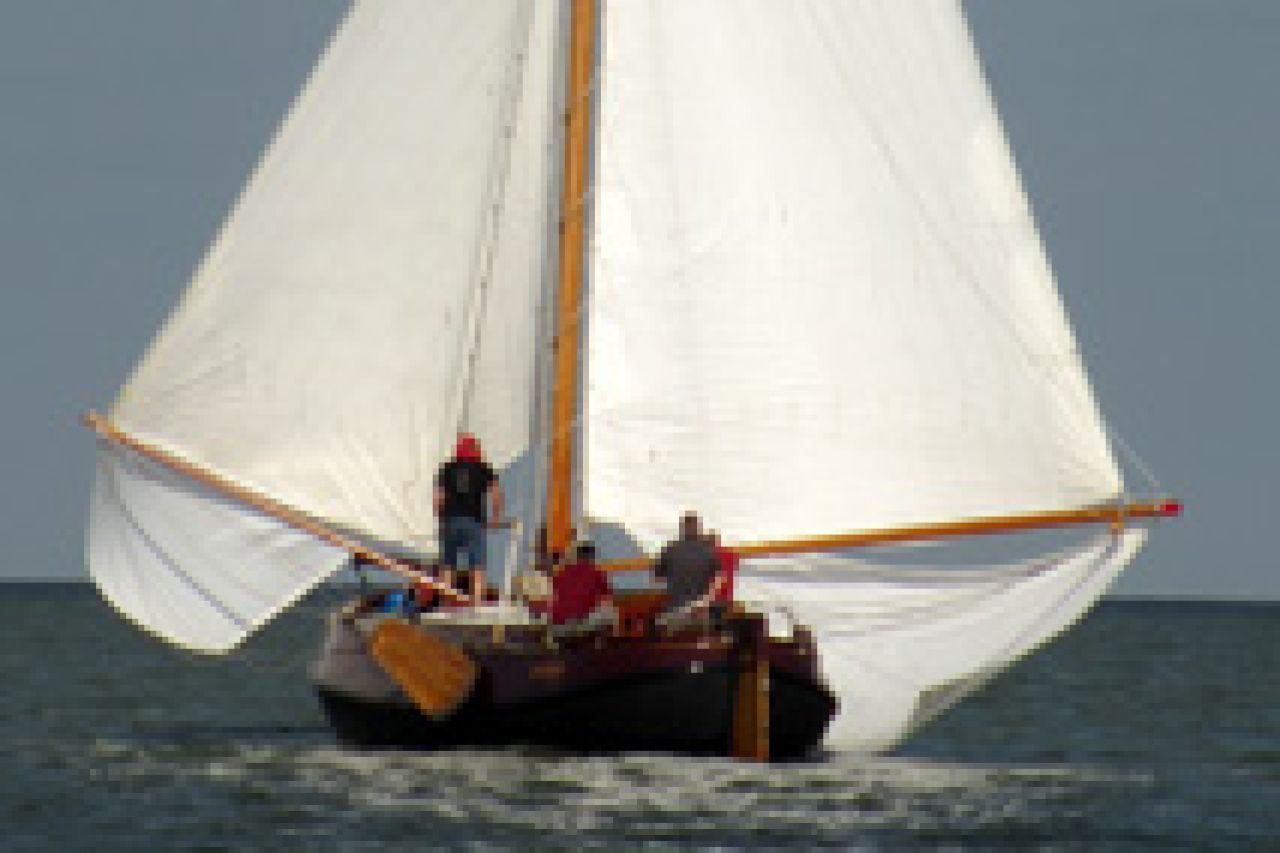Bruinvis