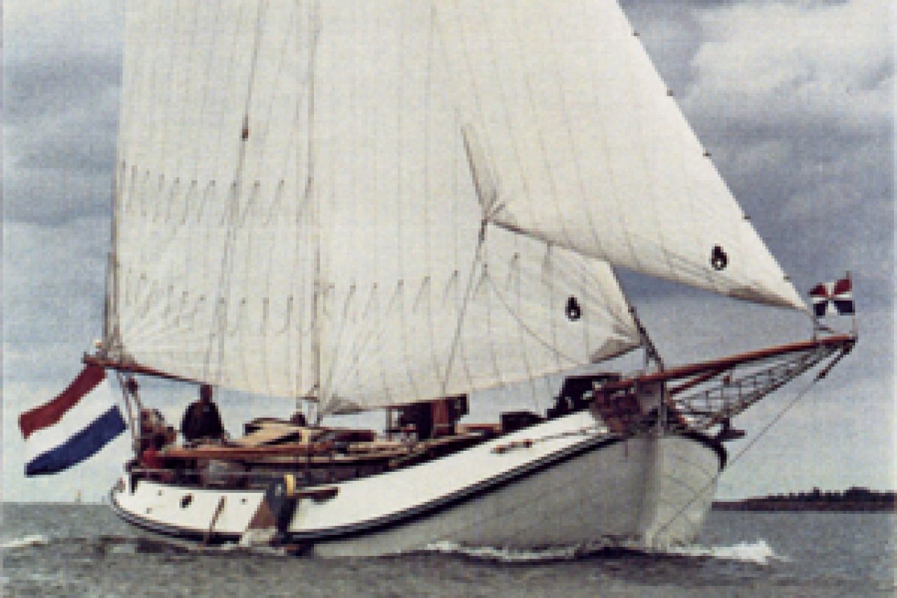Sterna