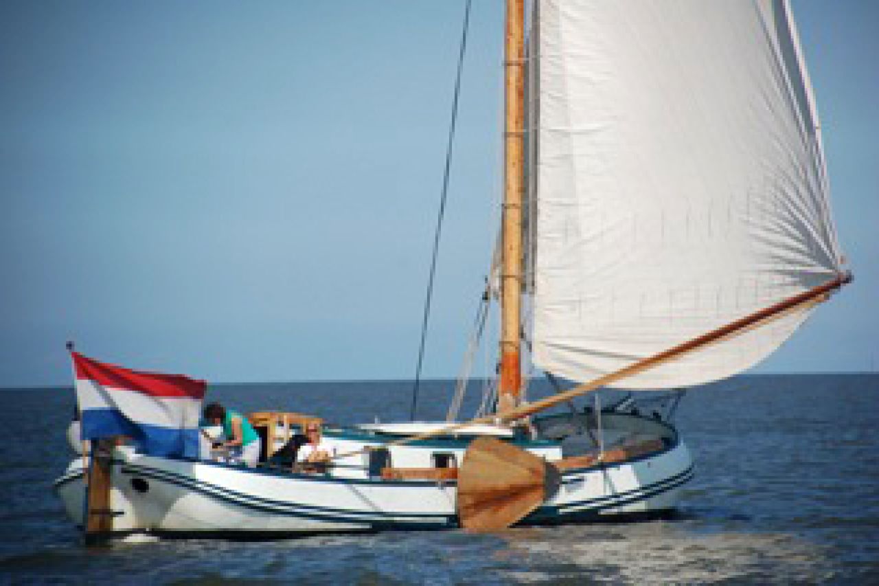 Risico