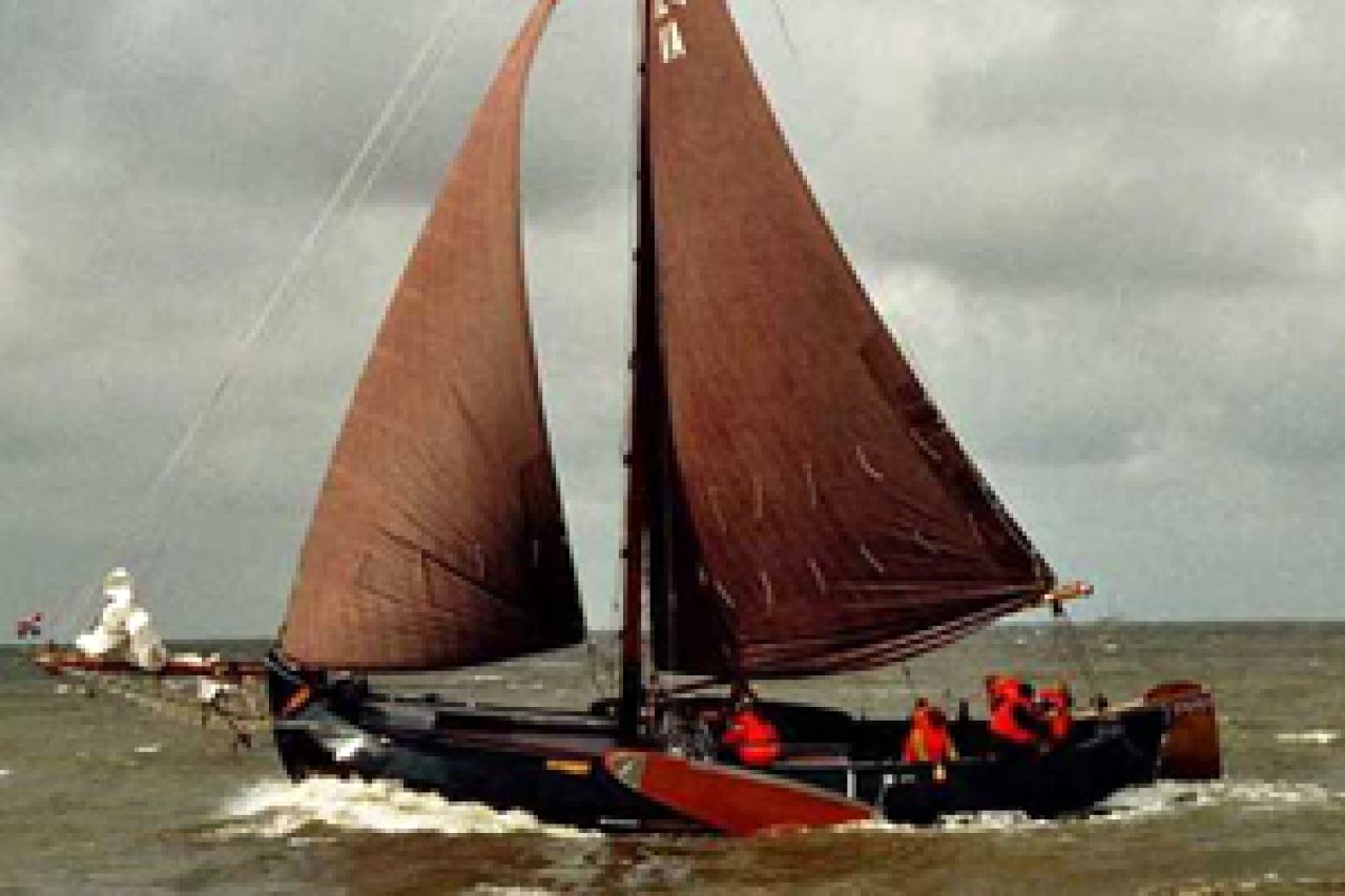 Sulis