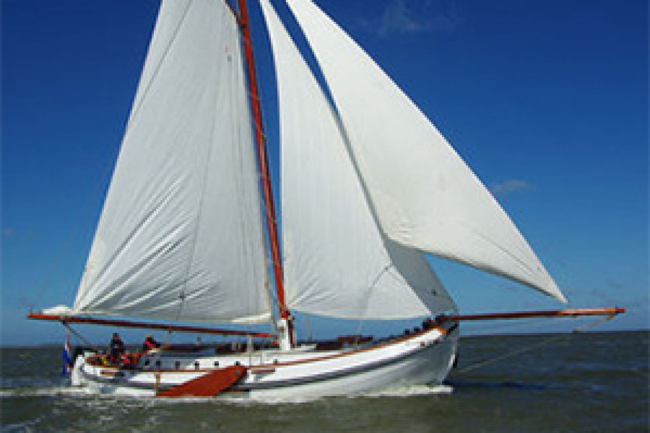 Ronde Walvis