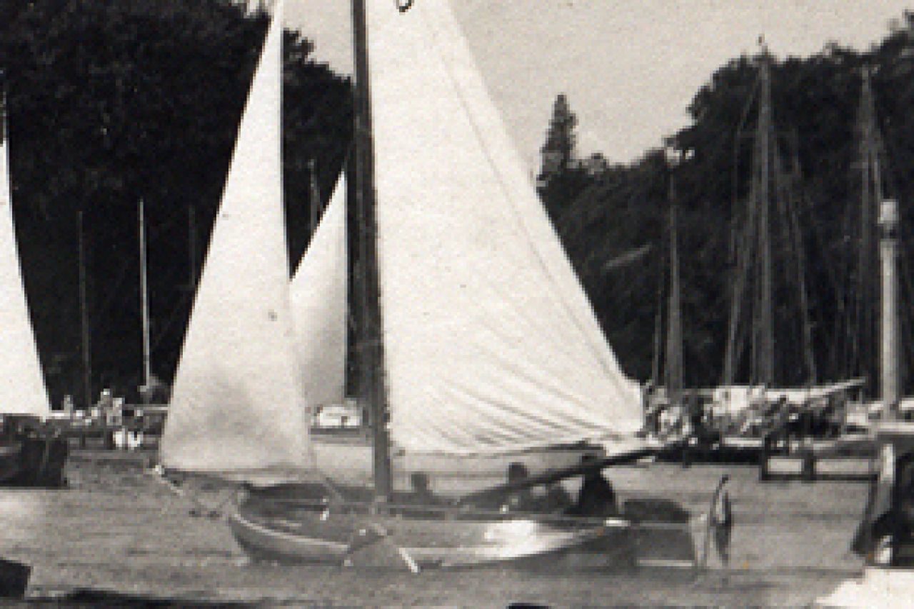 Sperwer