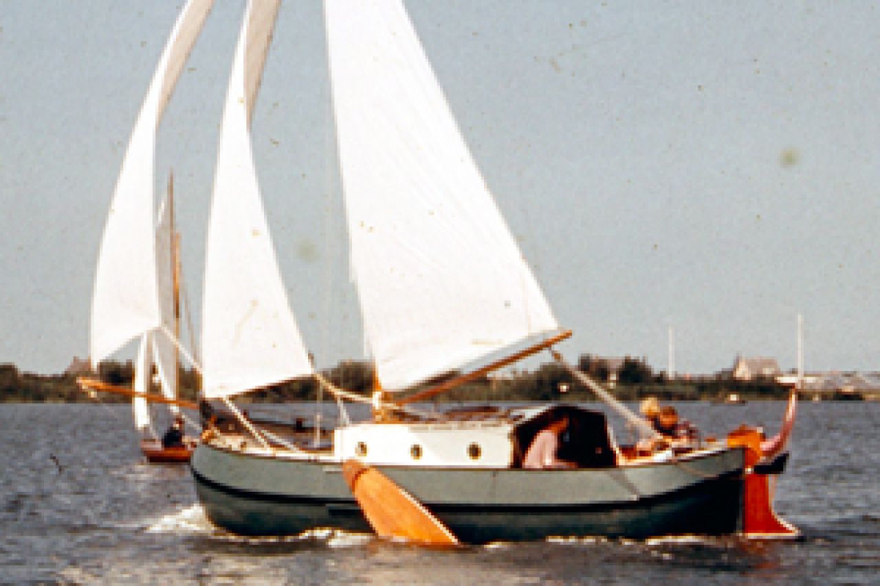 Koningin