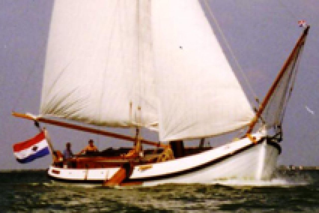 De Wulp