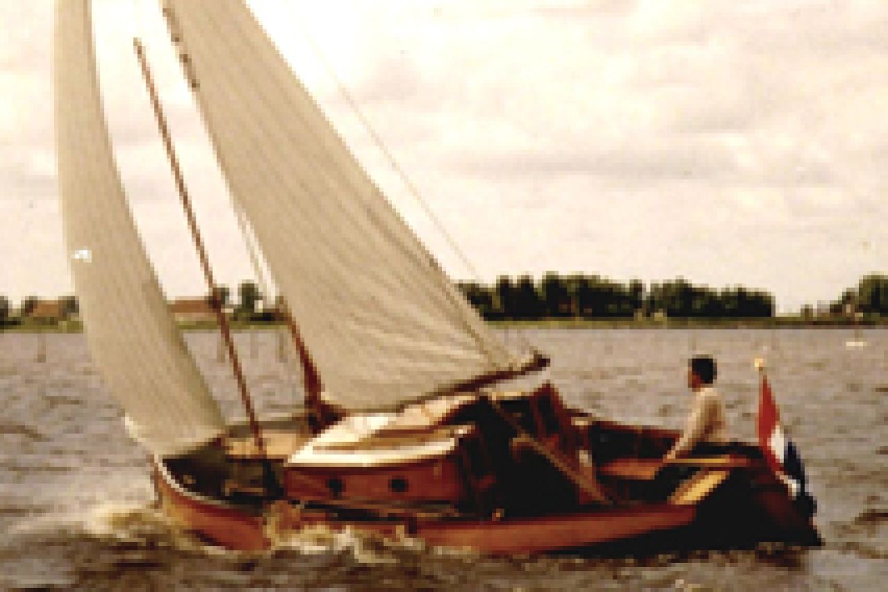 Meerkoet
