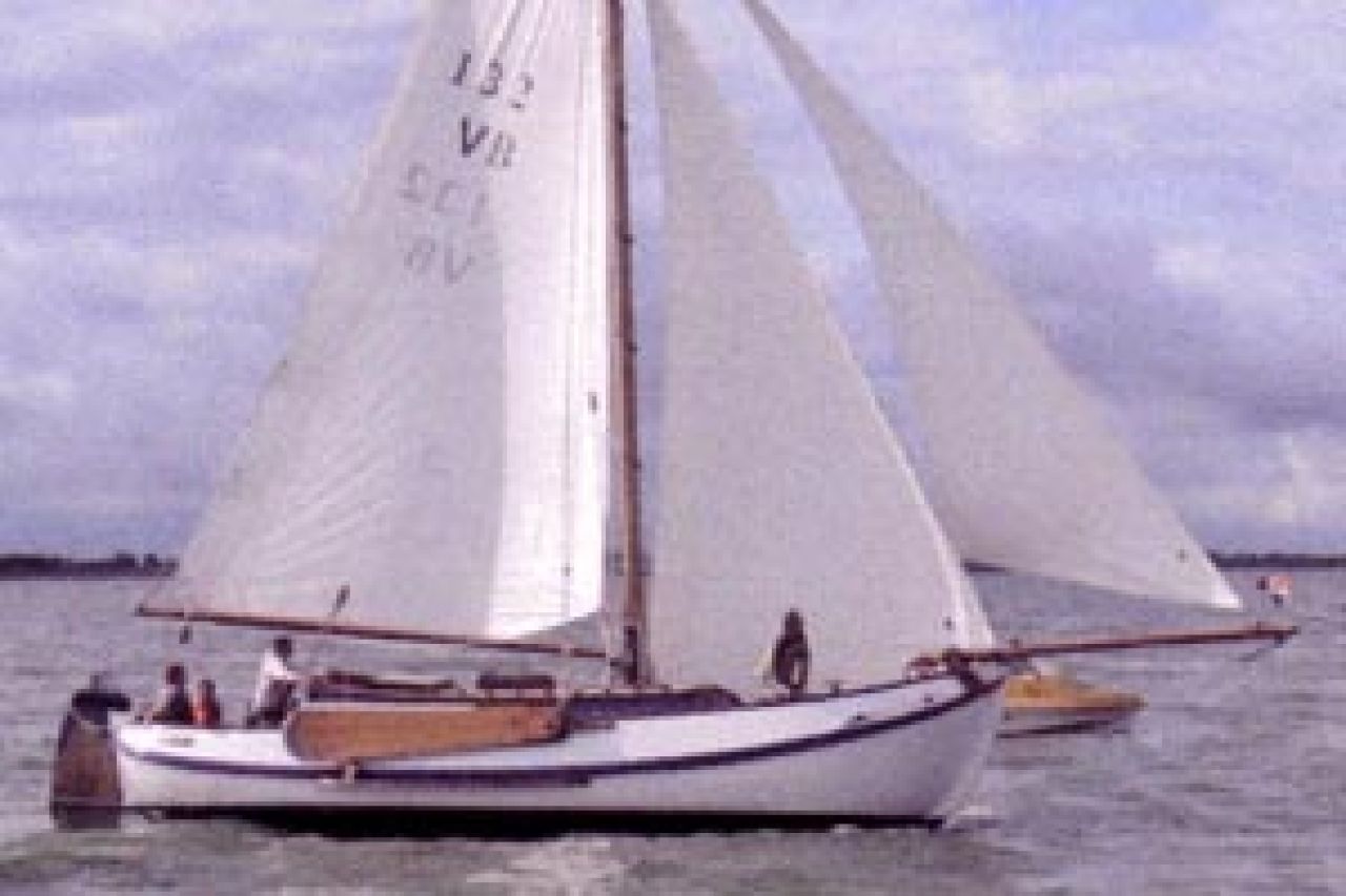 Sterna