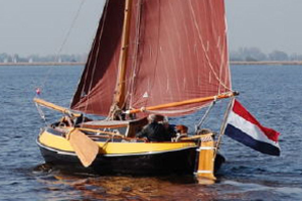 Bolle Buis