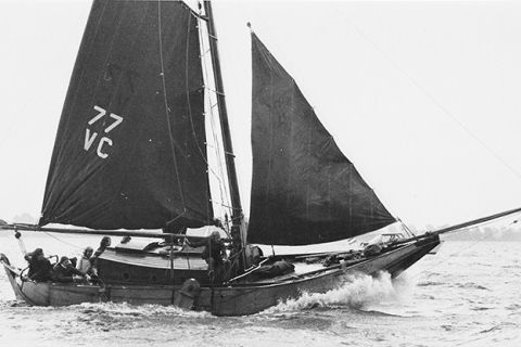 Hoogaars 'Kraagbeer' VC77 - plaquette 307